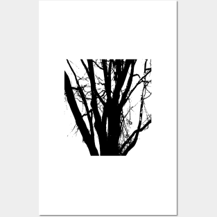 Tree, in black and white line drawing. Posters and Art